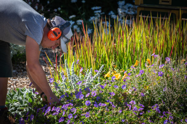 Jacquet Newsletter Edition 3 - 2022