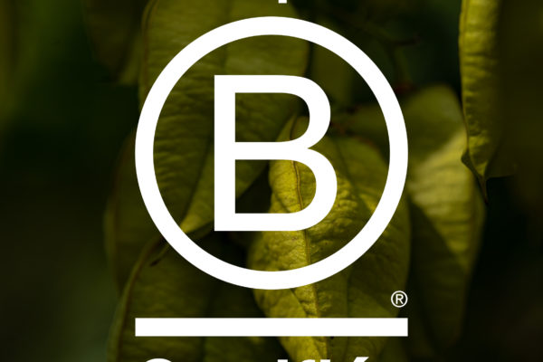 Jacquet SA - B Corp Certification
