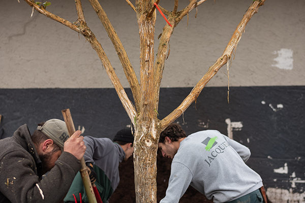 Jacquet SA - Recrutement Apprentis 2023