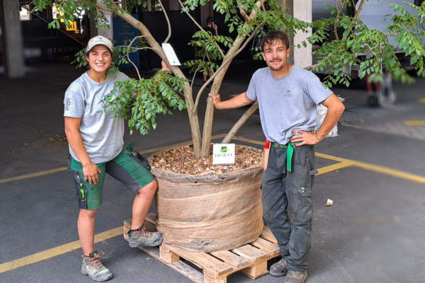 Jacquet SA - Transforme Festival - Aménagement végétal