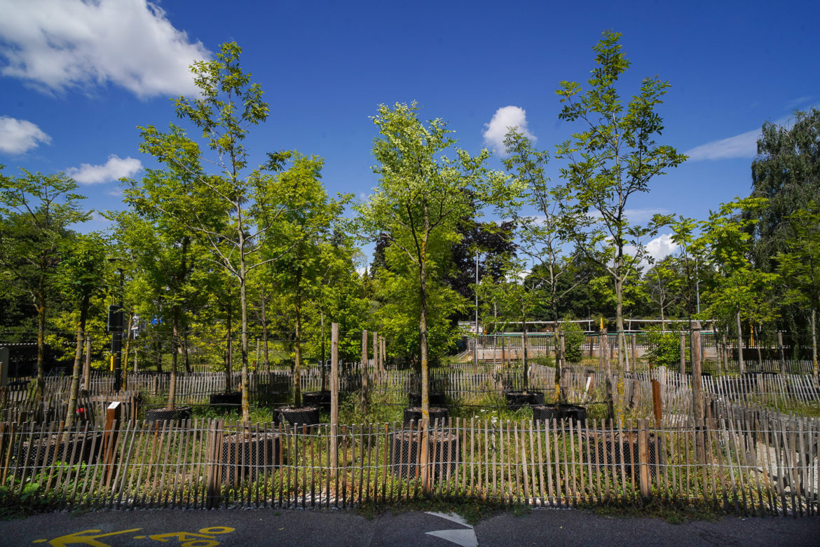 Jacquet SA - Pépinière Urbaine - Parc des Franchises 