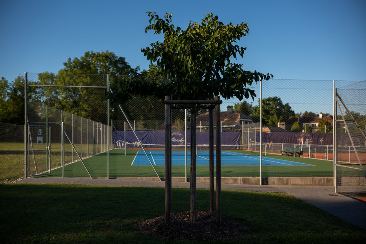 Jacquet SA - Tennis Club Collonge-Bellerive