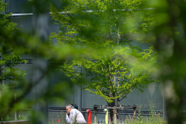 Jacquet SA - Gare CEVA Eaux-Vives