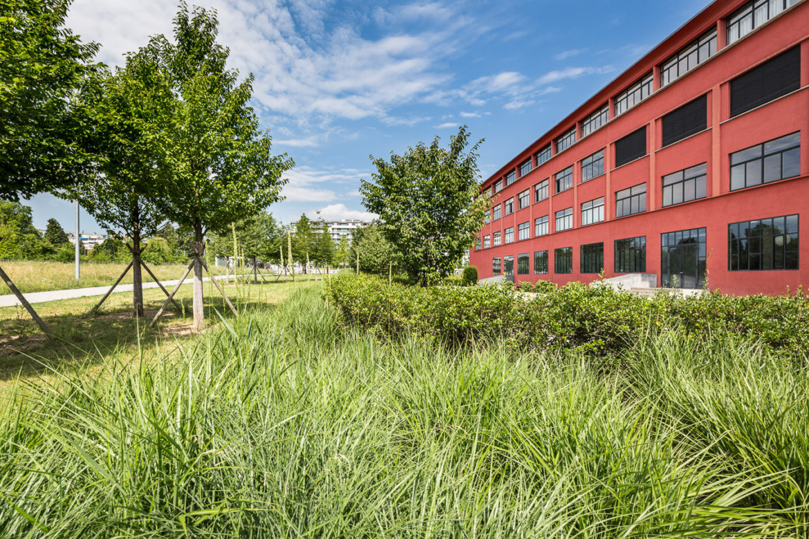 Jacquet SA - Parc Gustave & Leonard Hentsch