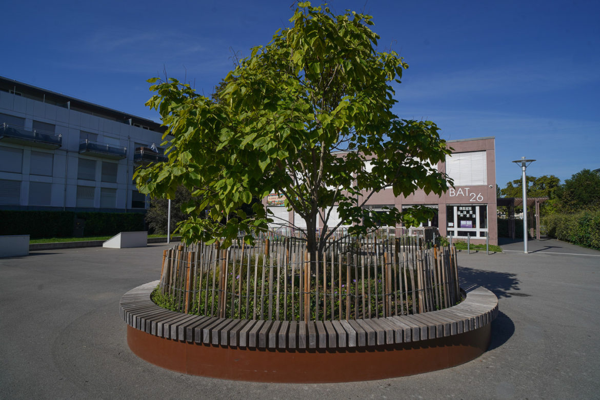 Jacquet SA - Cour Ecole du Bois-des-Arts - Thônex