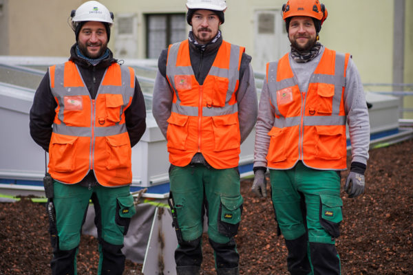2023 - Jacquet SA - Toiture végétalisée Alcide-Jentzer