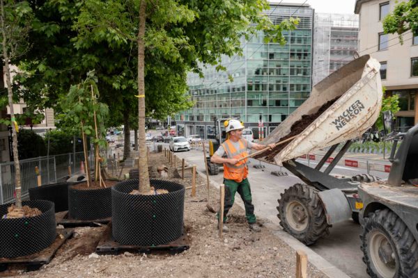 2024 - Jacquet SA - Rive