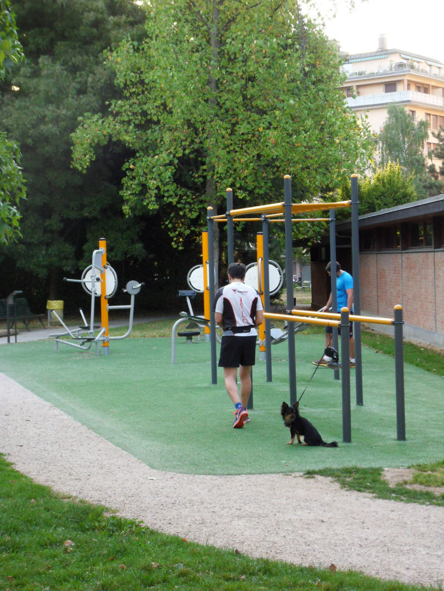 2015 - Jacquet SA - Street Workout - Parc Geisendorf