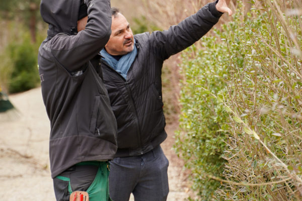 Jacquet SA - Raphaël Pezzani - Vignette Actualités