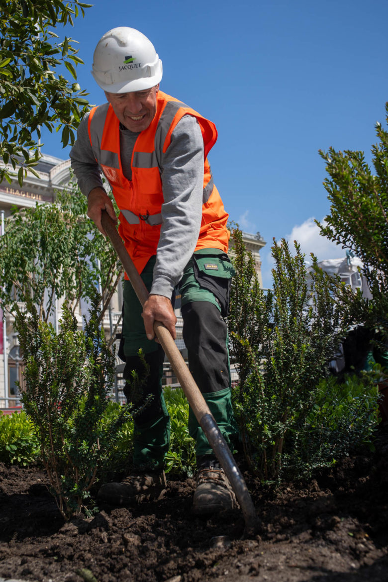 2025 - Jacquet SA - Plantations Esplanade Conservatoire de Musique de Genève