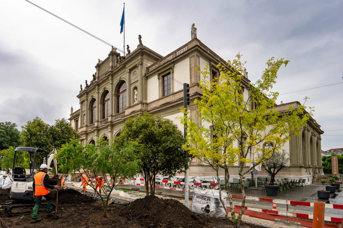 2025 - Jacquet SA - Plantations Esplanade Conservatoire de Musique de Genève