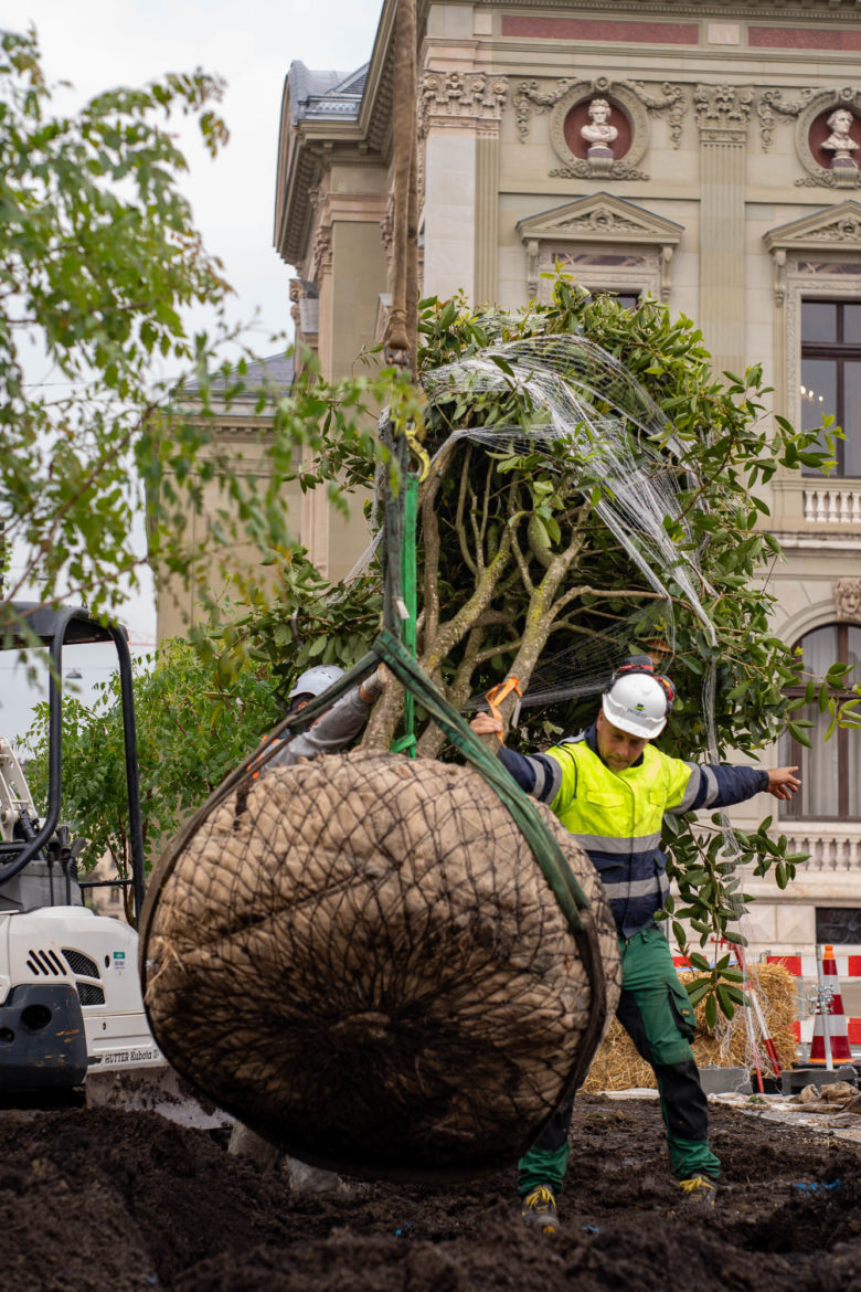2025 - Jacquet SA - Plantations Esplanade Conservatoire de Musique de Genève
