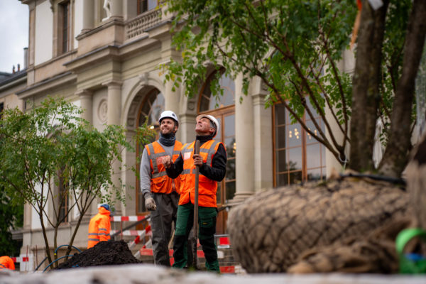 2025 - Jacquet SA - Plantations Esplanade Conservatoire de Musique de Genève