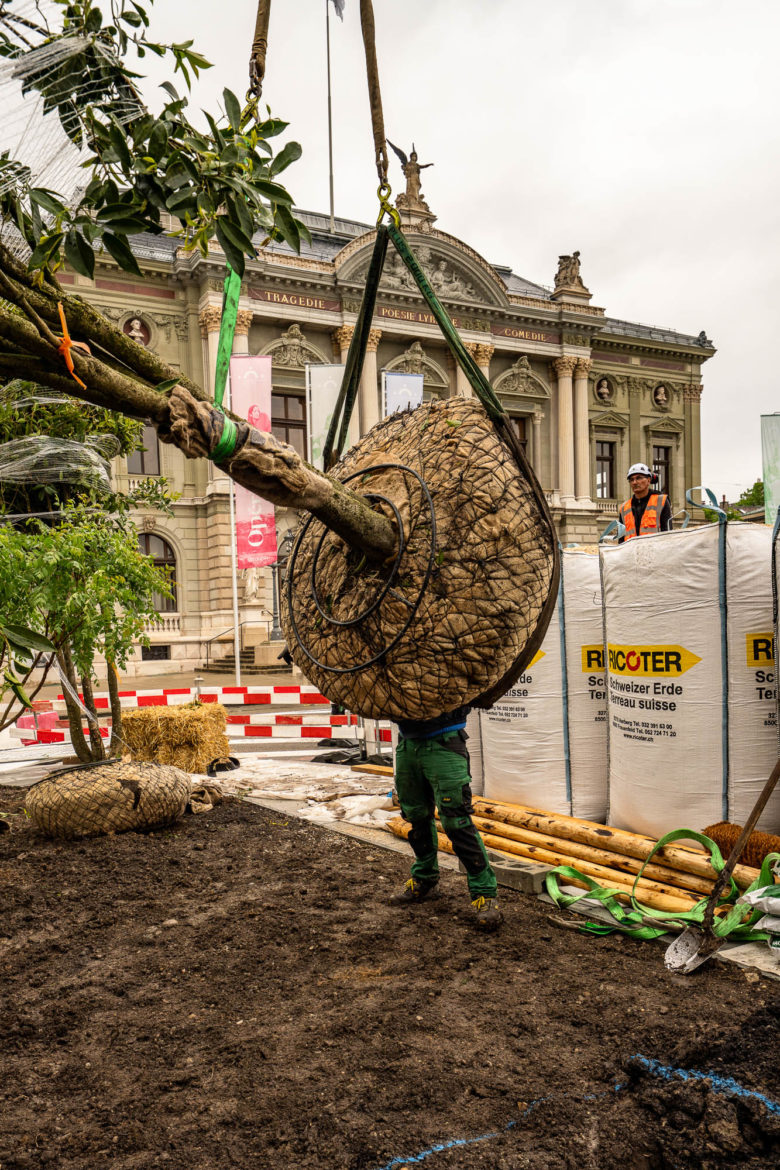 2025 - Jacquet SA - Plantations Esplanade Conservatoire de Musique de Genève