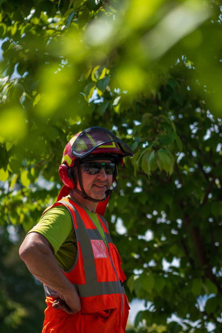 2025 - Jacquet SA - Travaux Forestiers & Soins aux Arbres Genève