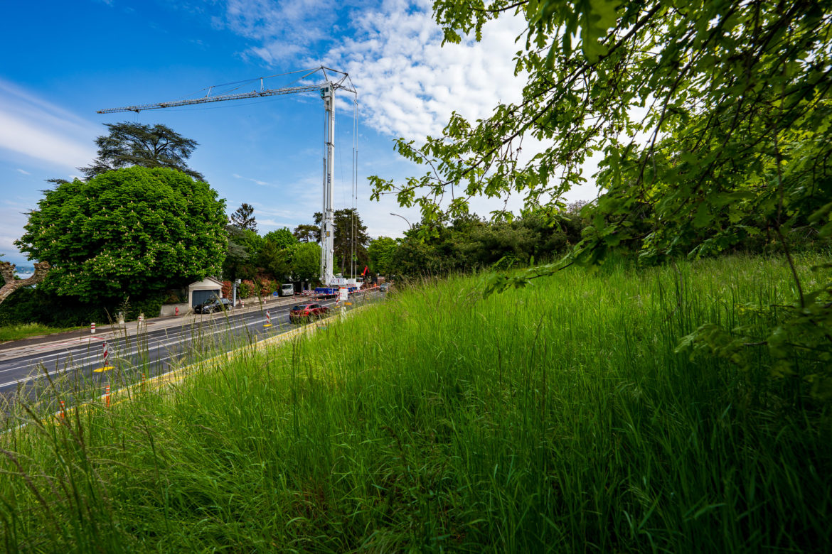 2025 - Jacquet SA - Travaux Forestiers & Soins aux Arbres Genève