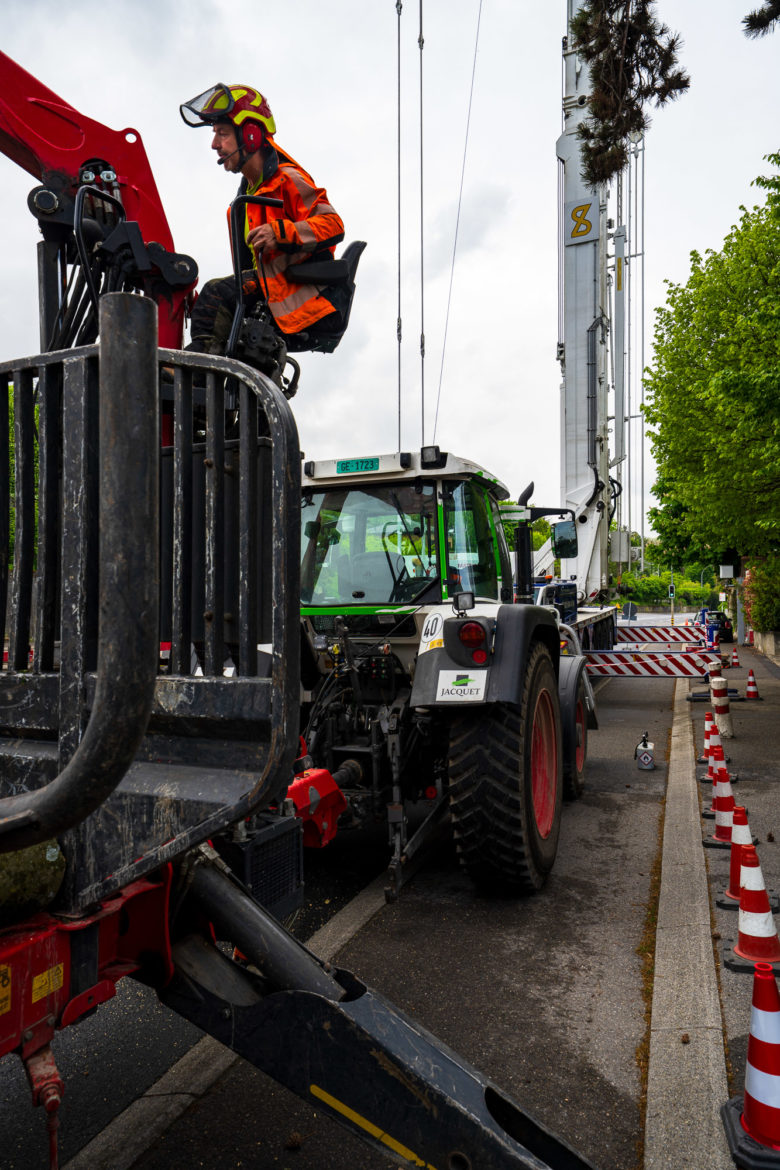 2025 - Jacquet SA - Travaux Forestiers & Soins aux Arbres Genève