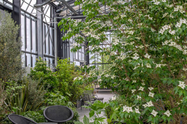 2025 - Jacquet SA - La Pépinière Jacquet