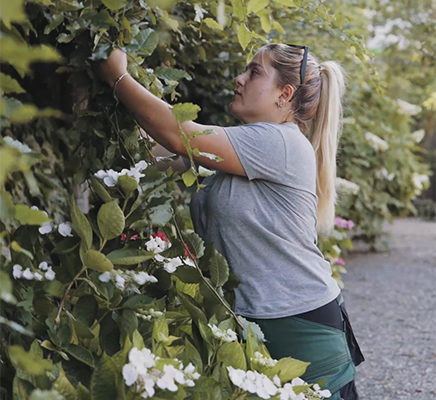 Jacquet SA - Une équipe, une vision