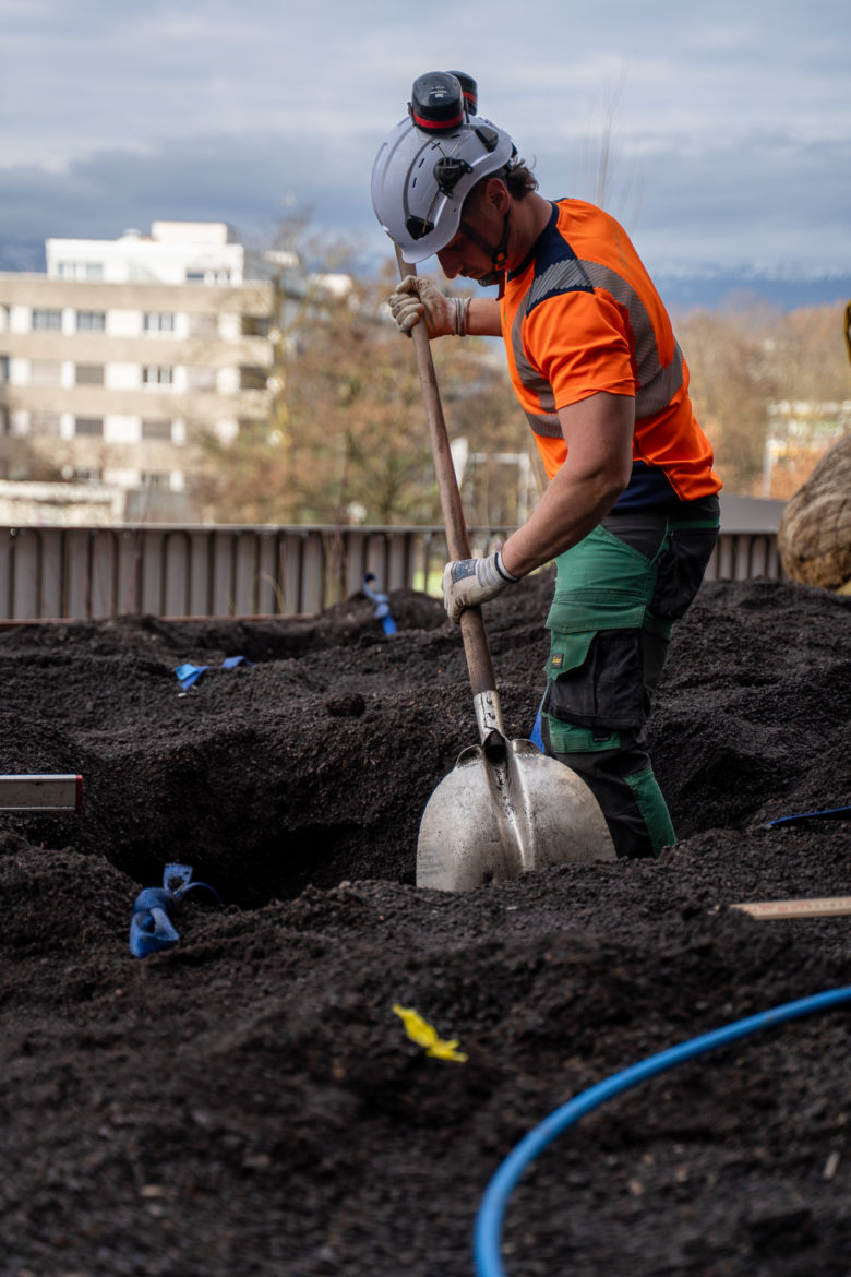 Plantations grutage Concorde - Decembre 2025-16