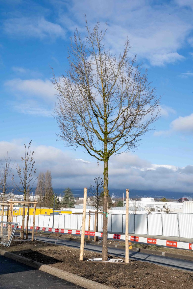 BHNS Meyrin 29.01.2026