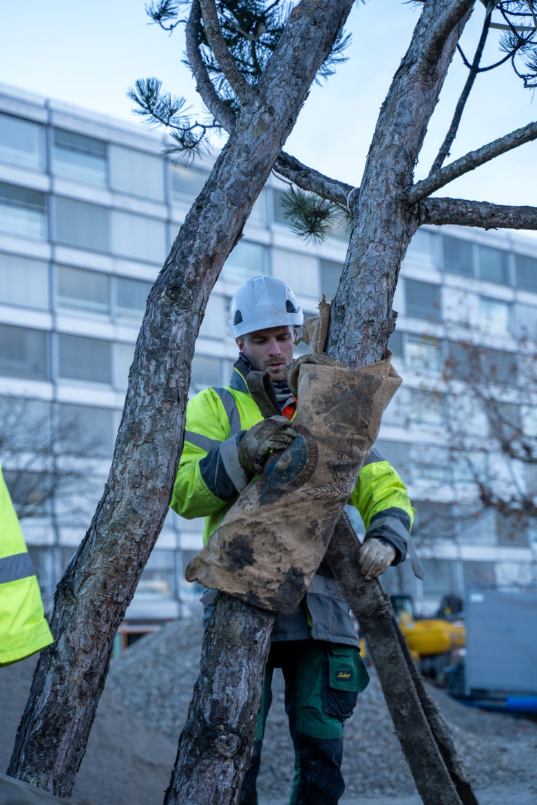 COEUR DE CITE MACONNERIE - DECEMBRE