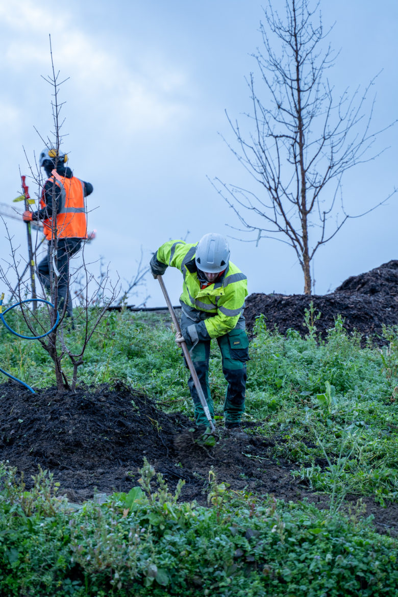 COEUR DE CITE MACONNERIE - DECEMBRE