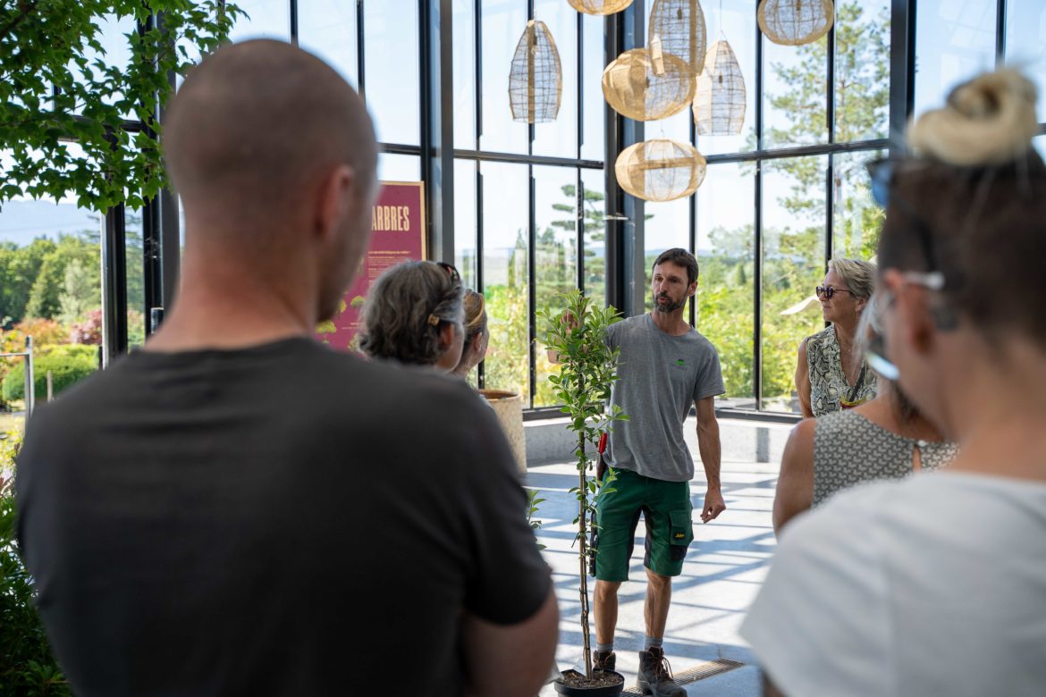 Visite en Pépiniere - coeur de cité été 2026