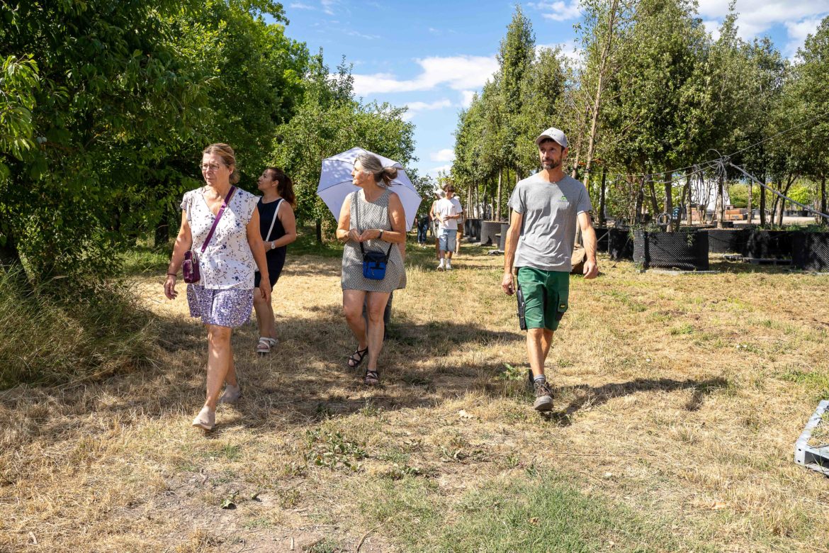 Visite en Pépiniere - coeur de cité été 2026