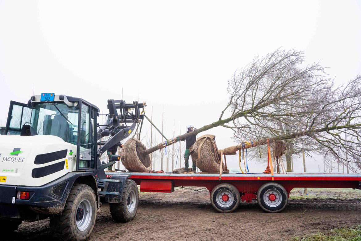 BHNS Meyrin 29.01.2026