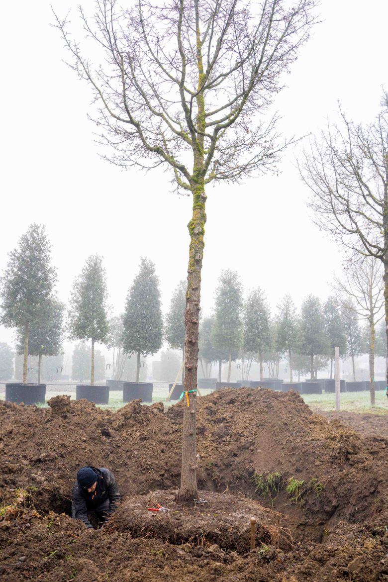 BHNS Meyrin 29.01.2026