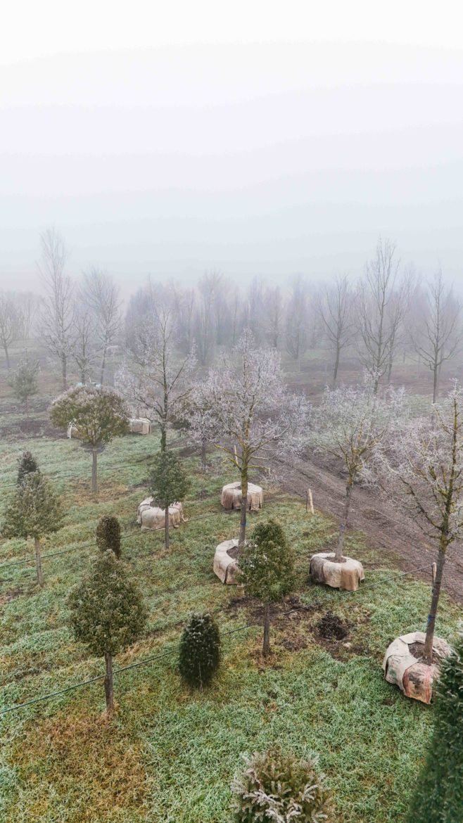 BHNS Meyrin 29.01.2026