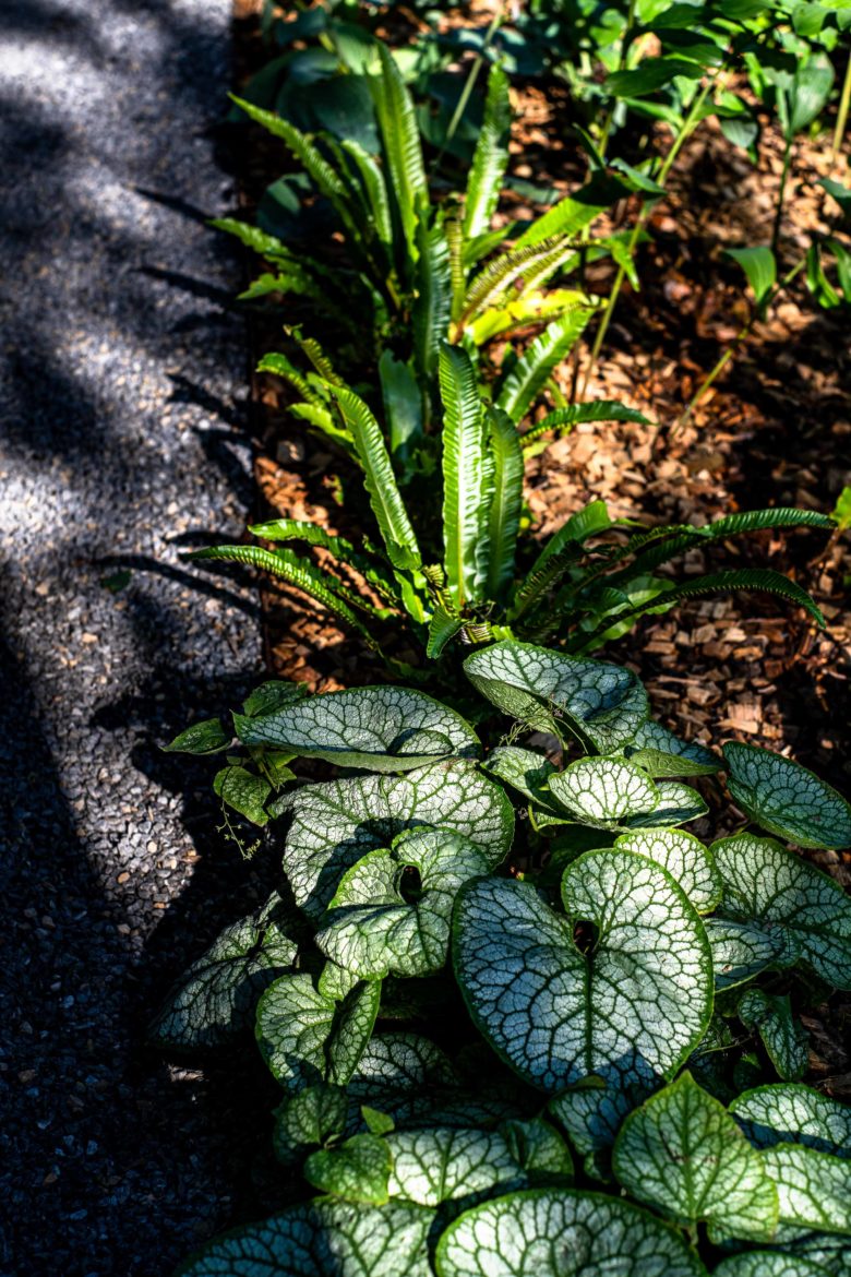 Jardin Privé Collonge Bellerive