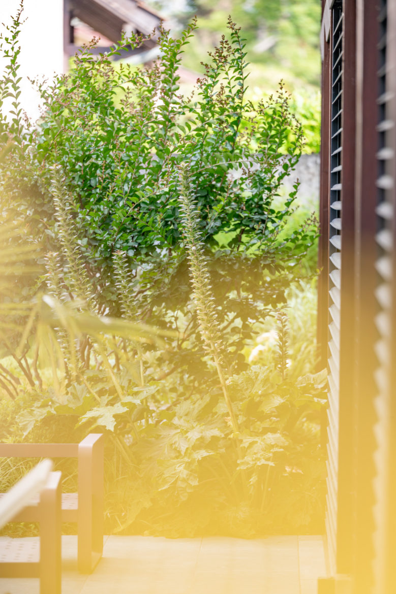 Jacquet Jardin privé 2024 - Geneve Vessy