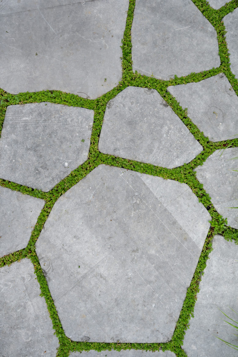 Jacquet Jardin privé 2024 - Geneve Vessy