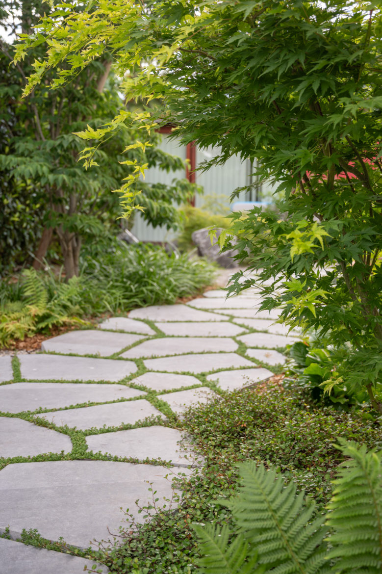 Jacquet Jardin privé 2024 - Geneve Vessy