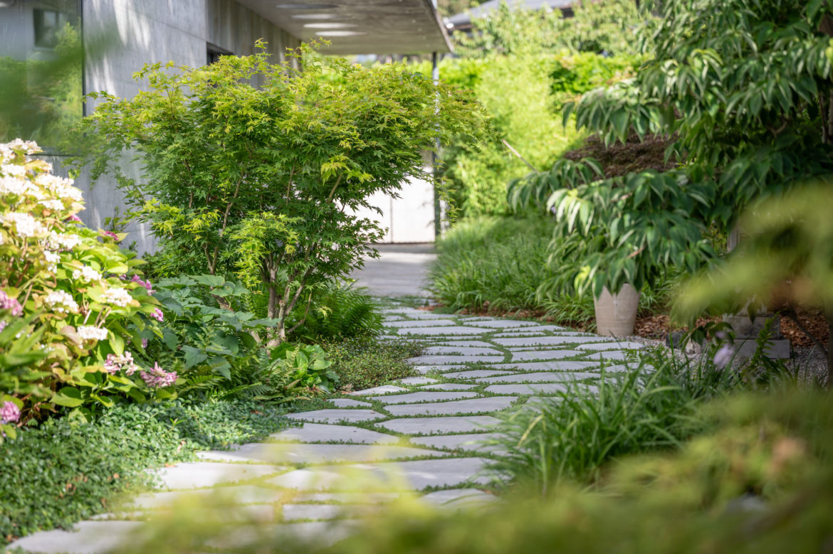 Jacquet Jardin privé 2024 - Geneve Vessy