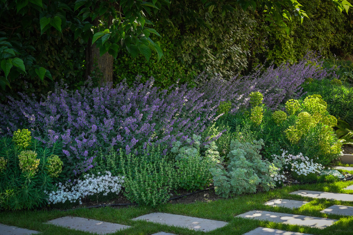 Jacquet SA - Jardin privé Vandoeuvres