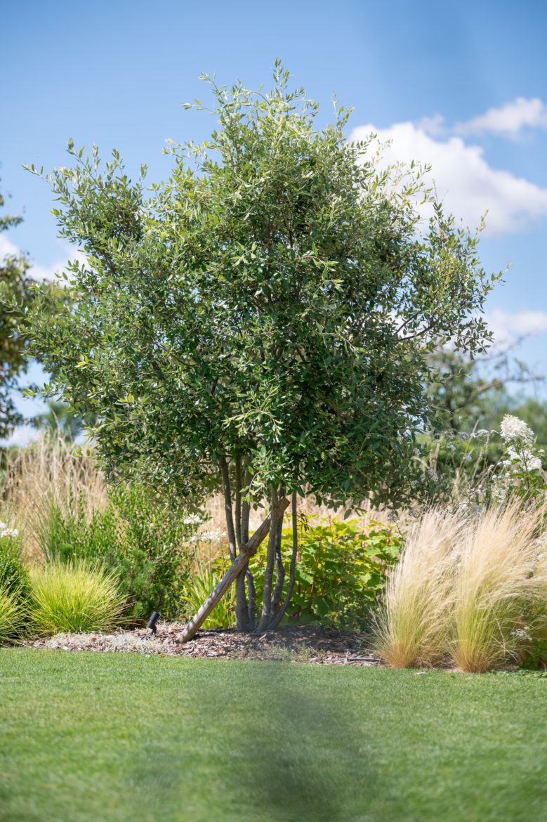 Jardin Privé - Vandoeuvres