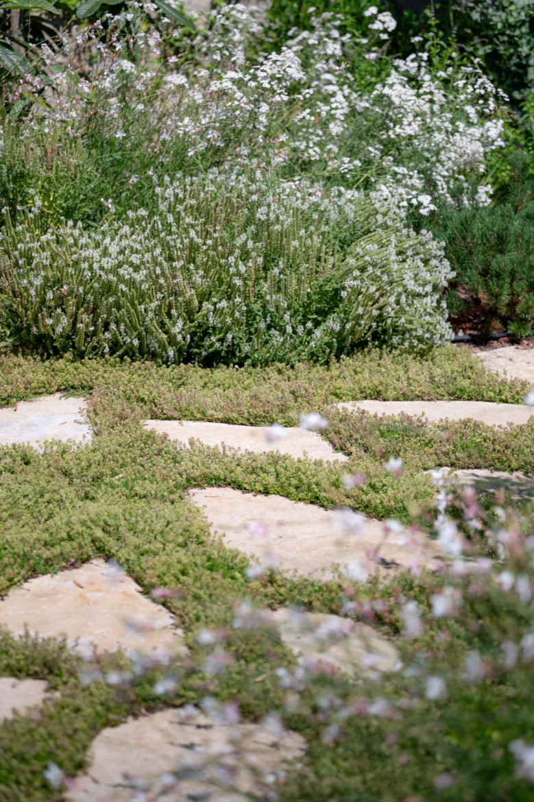 Jardin Privé - Vandoeuvres