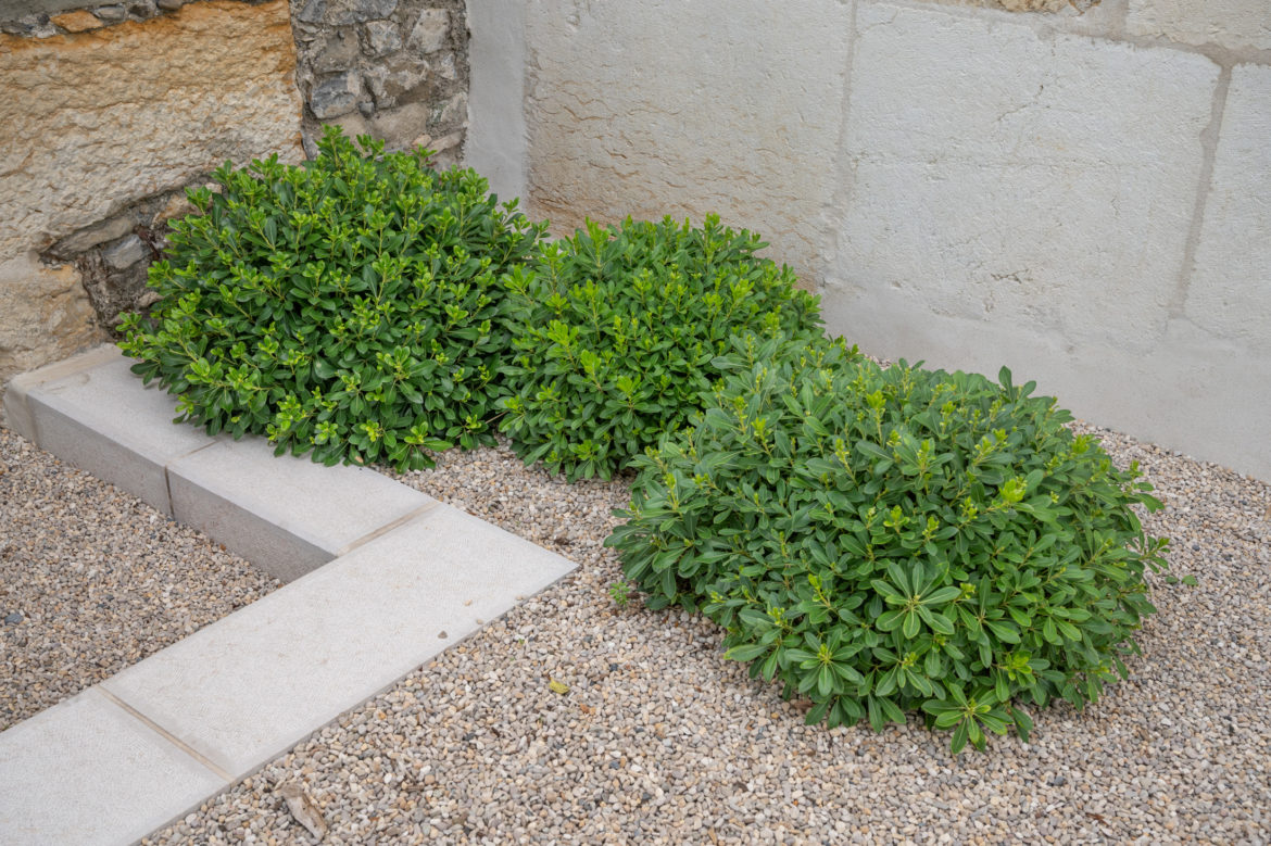 Jacquet SA - Jardin privé Genève