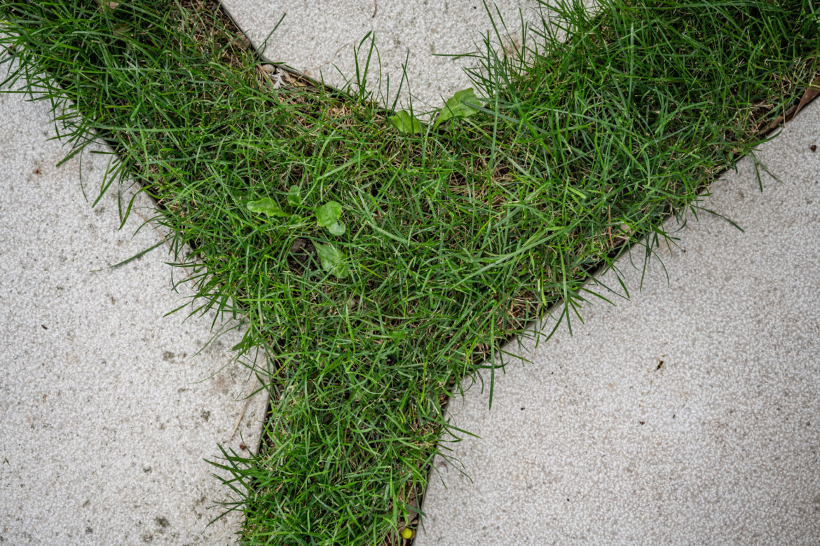 Jacquet SA - Jardin privé Genève