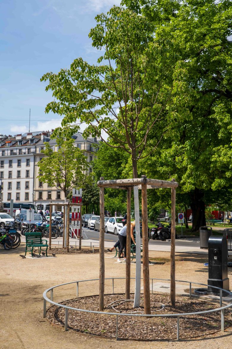 Aménagement extérieur - Rue Adhémar Fabri