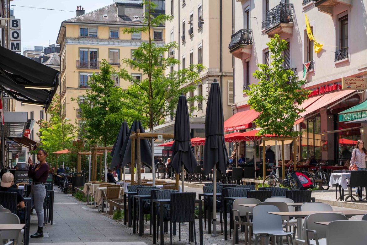 Aménagements extérieurs - Rue Chaponnière 2026
